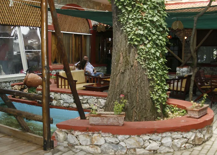 Hotel Lydia Krinídhes